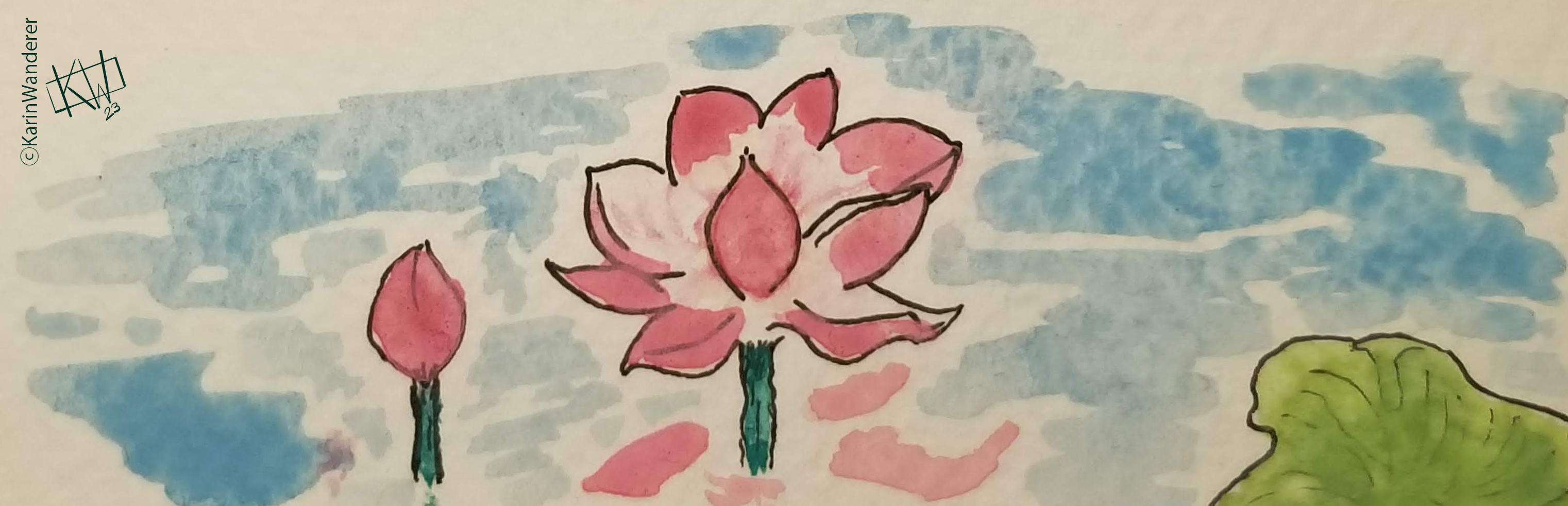 Watercolor of pink water lilies (one open & one a bud) and a lily pad. The flowers are reflected in the rippling water.