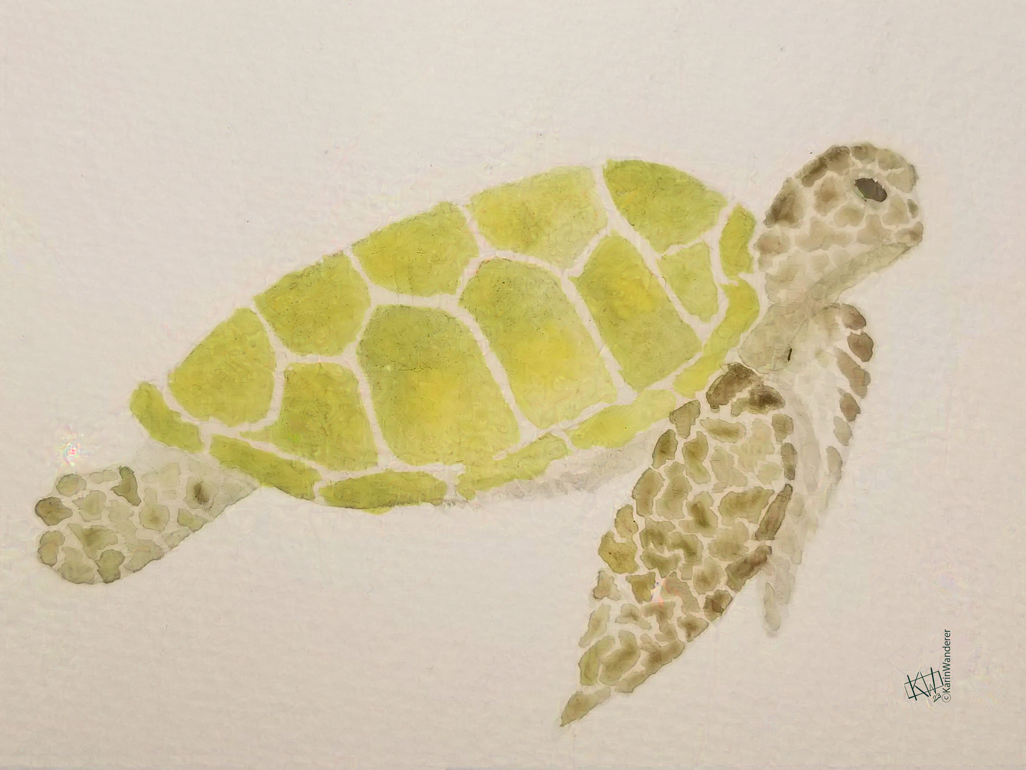 Watercolor green sea turtle swimming by tranquilly.
