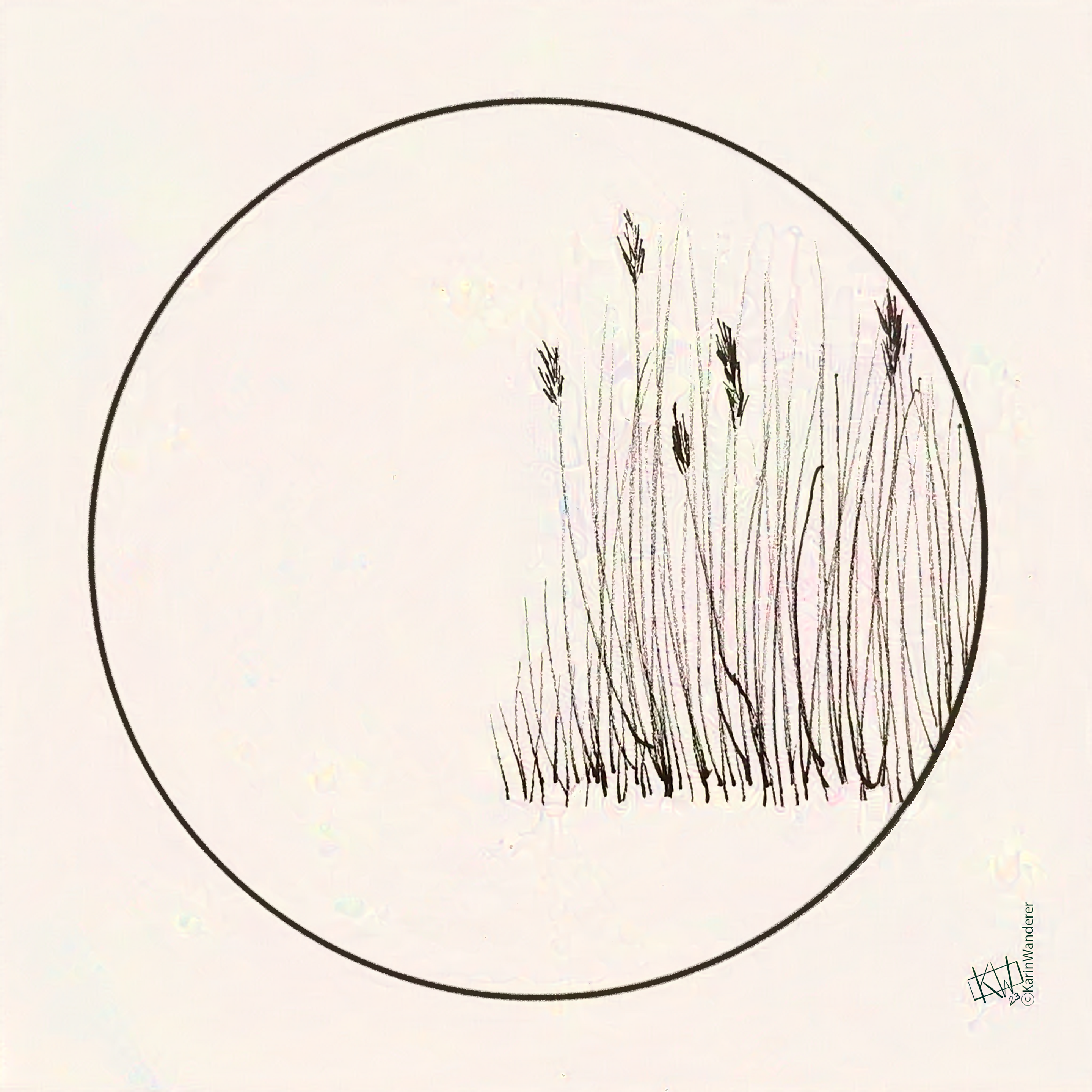 Minimalist ink drawing: a thicket of reeds growing on the bank of a river.