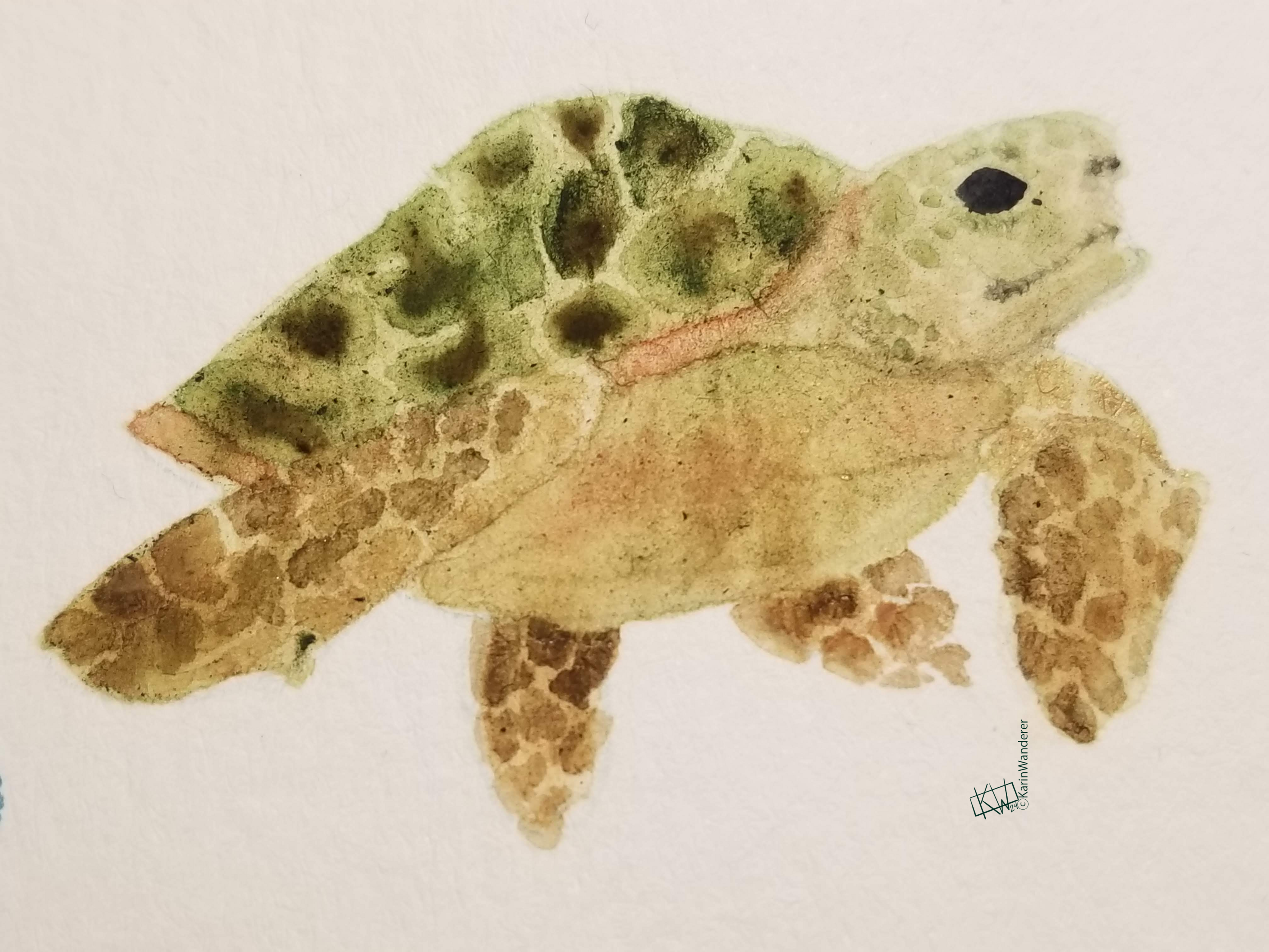 Watercolor sea turtle with green shell, brown carapace, & greenish brown body swimming happily.