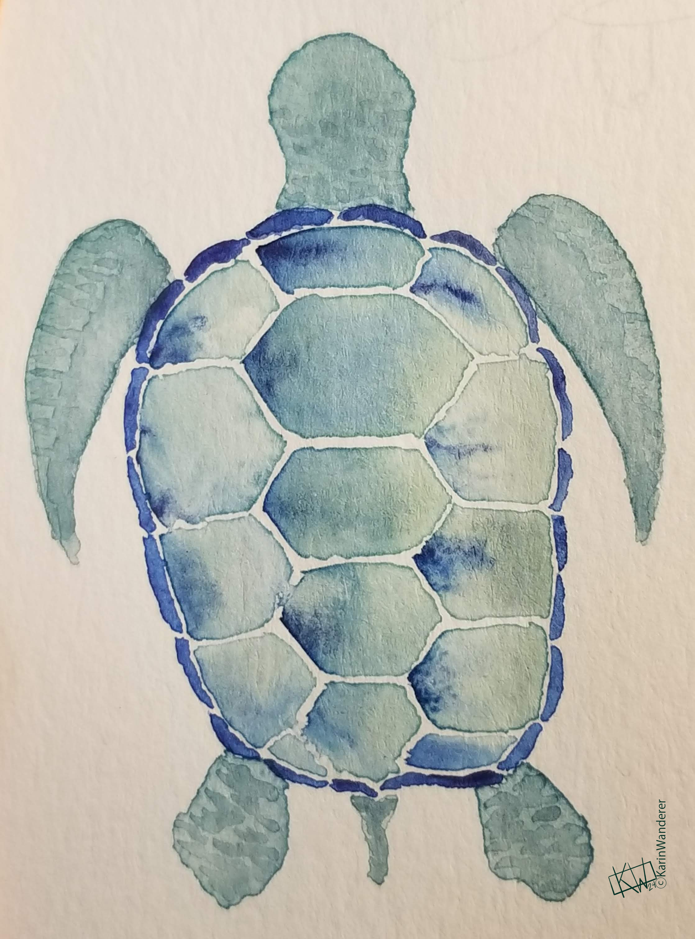Stylized watercolor turtle seen from the top down, all in soft greens with indigo on the shell.