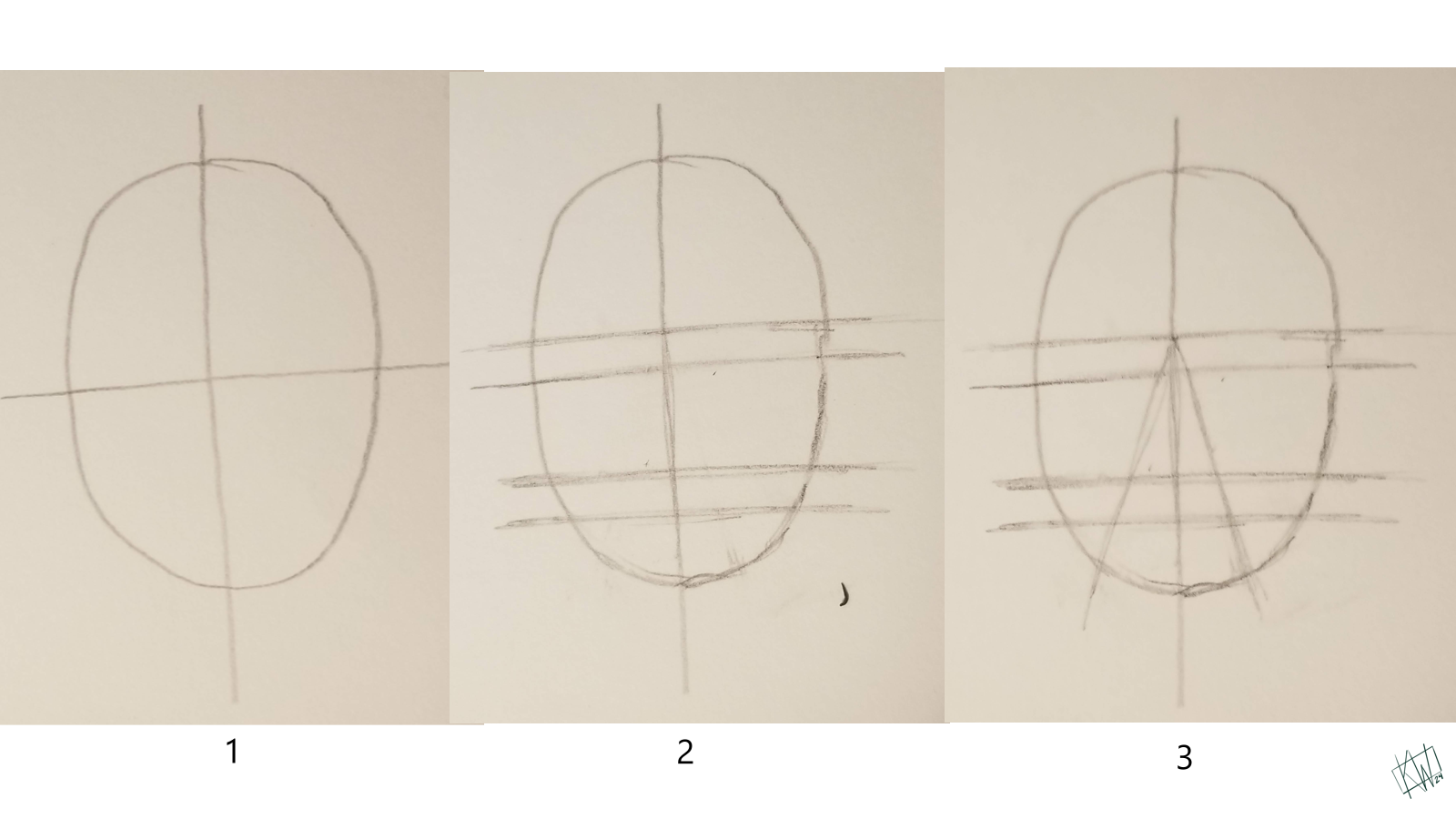 Pencil drawing of the first three steps to drawing a human face.
Step 1: Split an oval into 4 equal quarters with 2 perpendicular lines
Step 2: Add a line slightly above the middle horizontal line (this is the eye line.) Add a line half way between the middle and the bottom of the face (nose line.) Add a line slightly below that one (mouth line.)
Step 3: Draw a narrow triangle extending from the top set of double lines down through the chin.