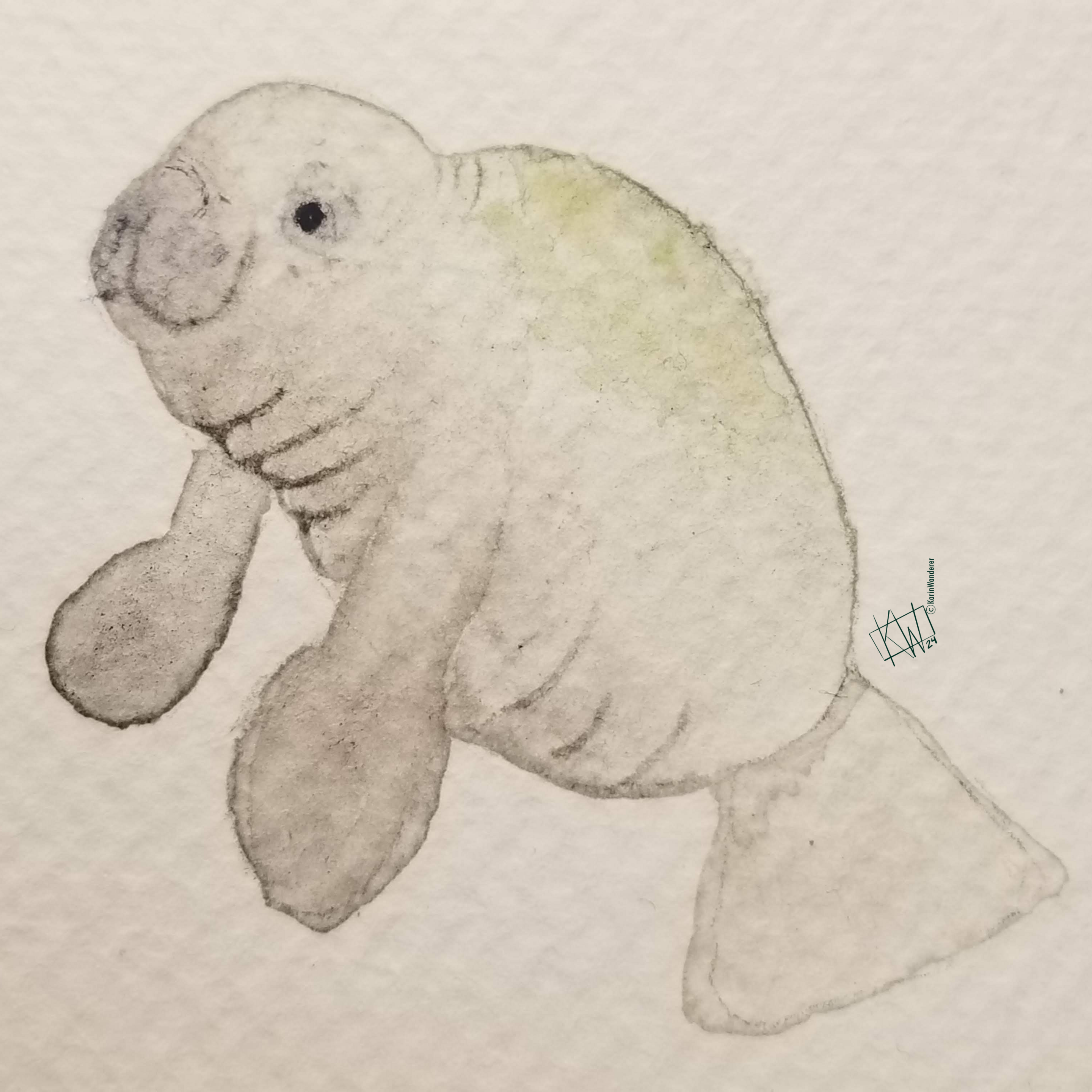 Happy watercolor manatee.