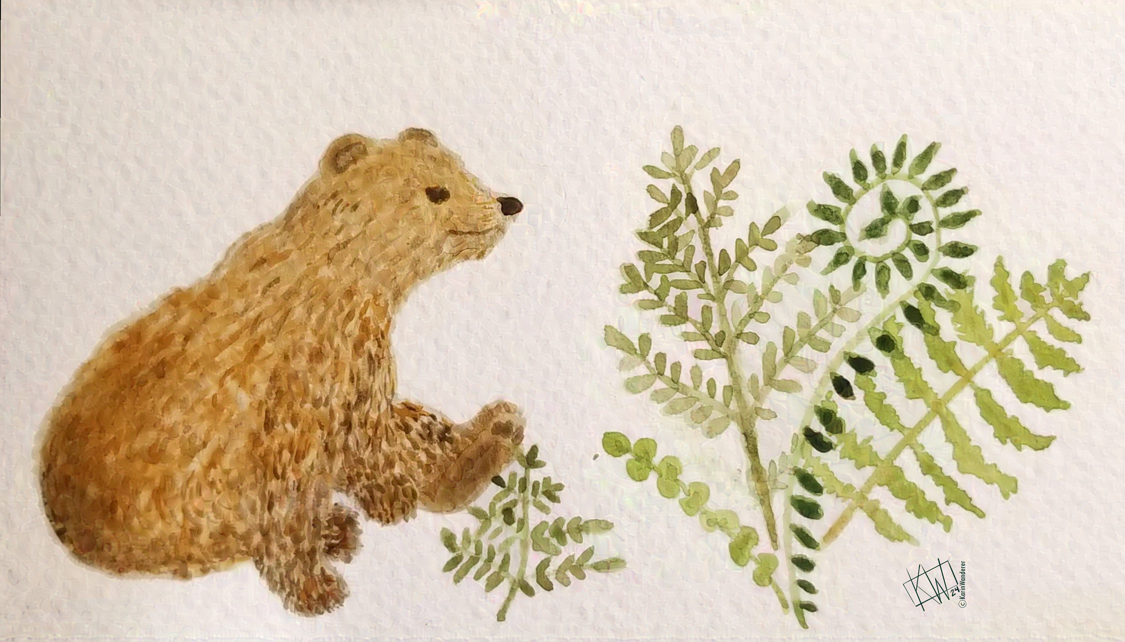 Watercolor bear sitting happily next to a clump of ferns.