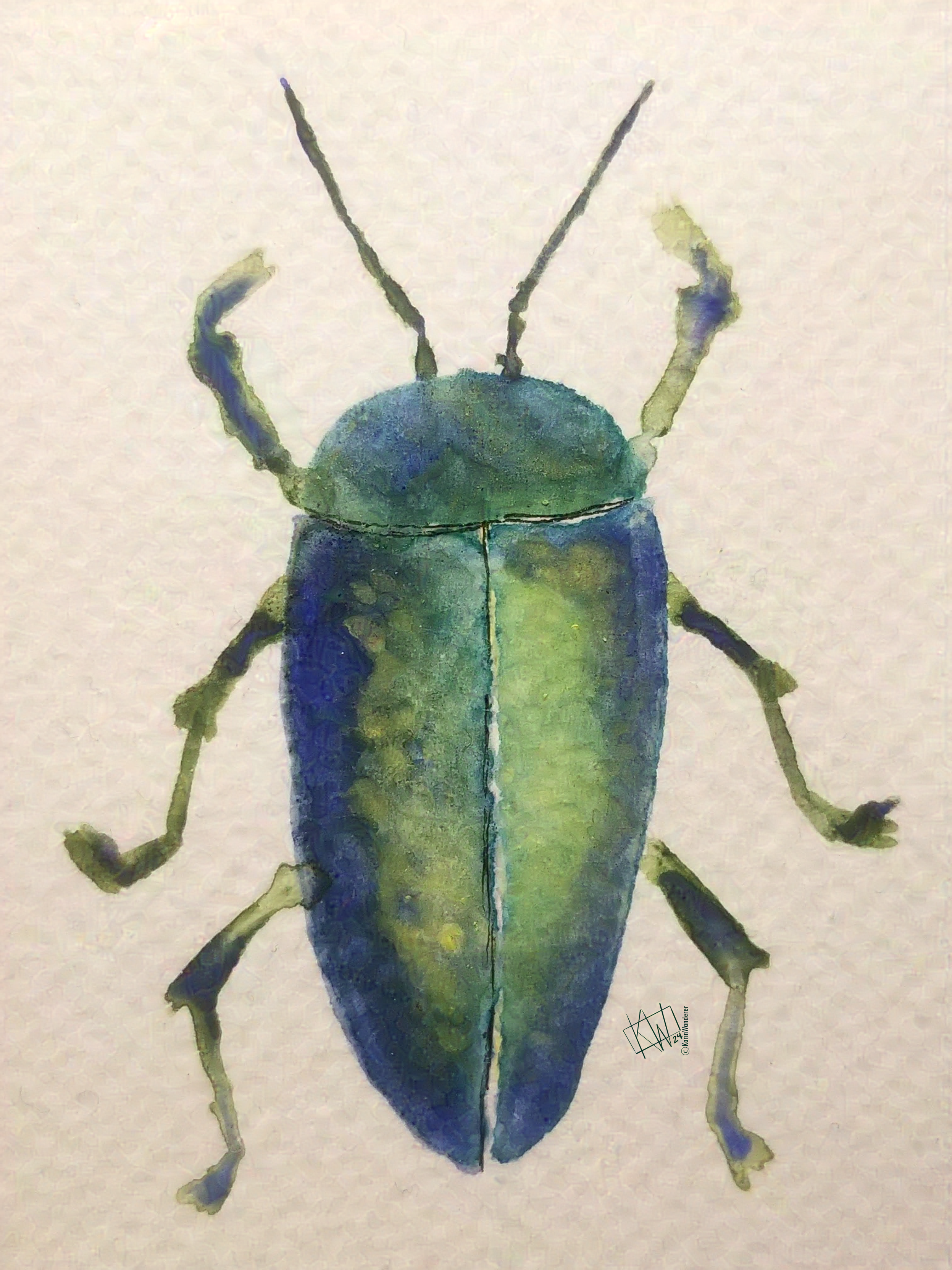 Watercolor Jewel Beetle in iridescent greens & blues.