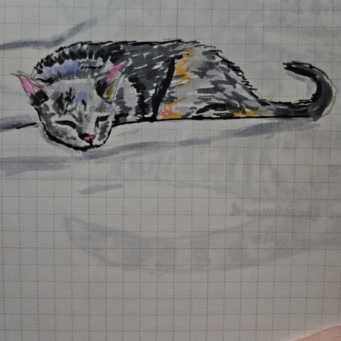A sketch of a sleeping cat on a grid journal page in marker and ink.