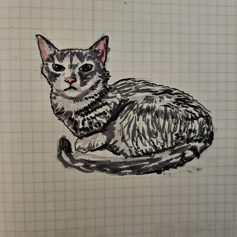 An ink and marker sketch of a small angry grey tabby cat on grid paper.