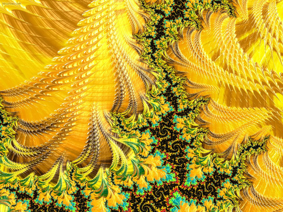 Feathered Julia pattern in yellow and orange