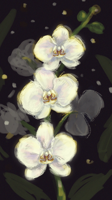 Digital illustration of white orchids over a dark background. The vertical dimension is meant to be used as a phone wallpaper.