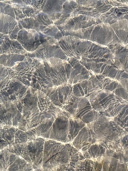 Skarpt lys på alle små krumninger af vandbølger og forskellige linse effekter ned på sandbunden i en hypnotiserende kombination