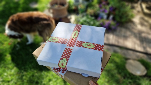 2 Pakete, im Hintergrund sonnige Terrasse Und Hund 
