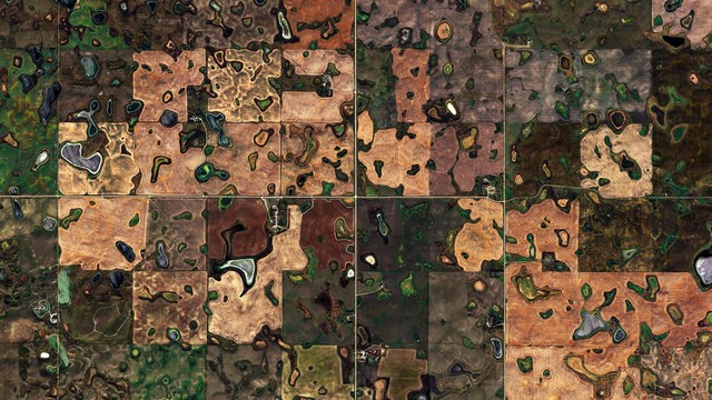 fields and marshes seen from above. the image is split in 4 quadrants and each one is divided in small squares, each one of a different color, being different fields. a lot of small ponds are peppered through the image