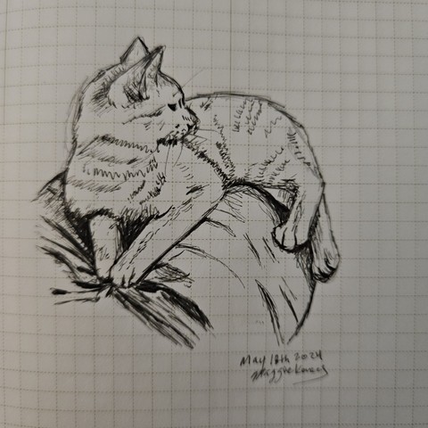 An ink sketch of A ginger kitten laying on legs and looking away and to the right. It's hind legs are falling off. On grid paper.