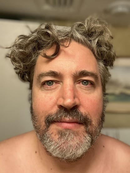 Me, looking into camera. I have curly hair of brown and gray, bloodshot blue eyes under brown eyebrows, peach skin, gray and brown beard and mustache, smirking pink lips. I don't think I've ever described my face this much. I feel weird lol. Have a great day!