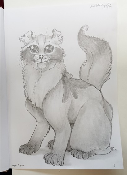 A pencil drawing of an American Curl cat looking a bit shocked at the viewer.