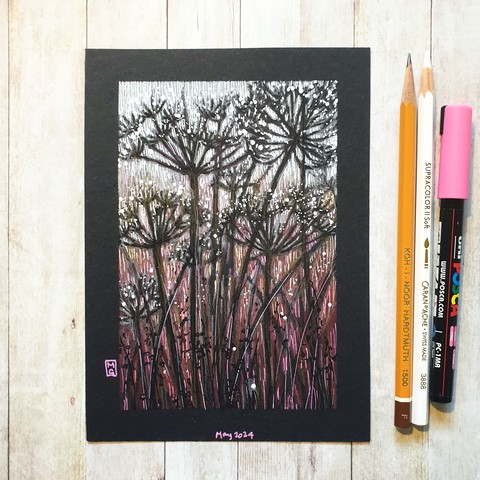 Original drawing - Cow Parsley Silhouettes
A colour drawing of silhouettes of cow parsley flowers, a wildflower also known as Queen Anne's Lace. The work has a background in grades of pink and white.
Materials: colour pencil, mixed media, acid free black paper
Width: 5 inches
Height: 7 inches