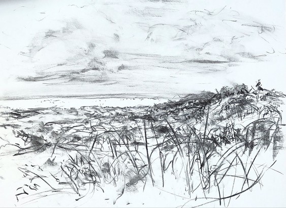 Charcoal drawing of a view on dunes, beach, sea and sky. The cloudy sky takes up the top half of the drawing. The sea is a thin dark strip on the horizon with a lighter band under it that marks the beach. Most of the bottom half has suggestions of plants and grasses. A dune top on the right hand side.