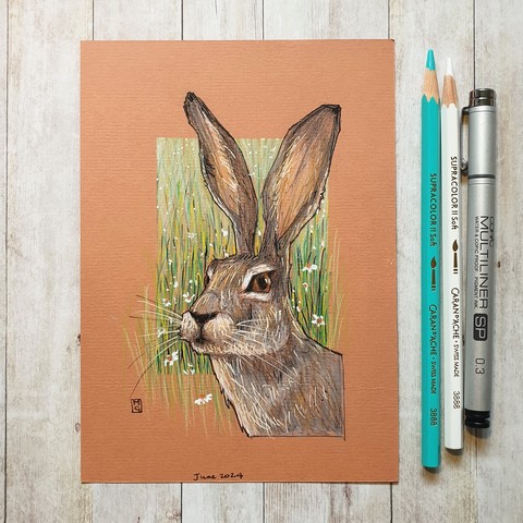 Original drawing - Portrait of a Hare
A colour drawing a portrait of a hare with a background of grasses with daisies.
Materials: colour pencil, mixed media, acid free terracotta coloured pastel paper
Width: 5 inches
Height: 7 inches