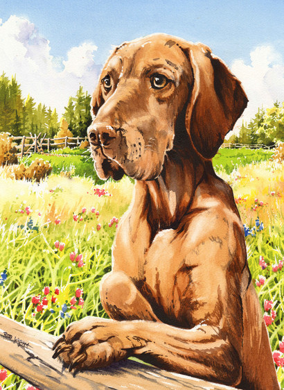 A big, muscular red-furred dog stands on his back paws with his front paw on a fence. Behind is a meadow with flowers, a distant fence and trees, and a blue sky.