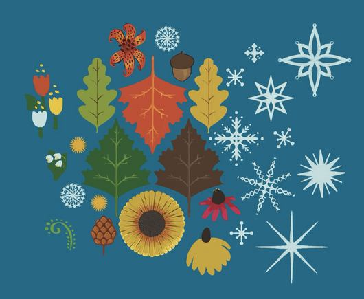 Colorful illustrations of seasonal flora; maple leaves, sunflower, snow flakes etc