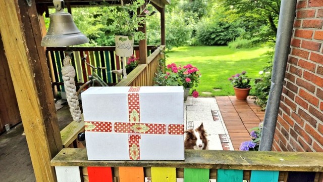 Paket auf der Brüstung des Gartenzauns mit bunt gestrichenen Zaunlatten am Tor dahinter sonnige Wiese und Garten, ein Hund sitzt im Eingang 