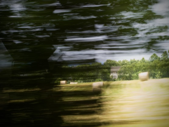 A house is visible in the background through trees blurred by motion. The grass in front of the house is washed out through overexposure 