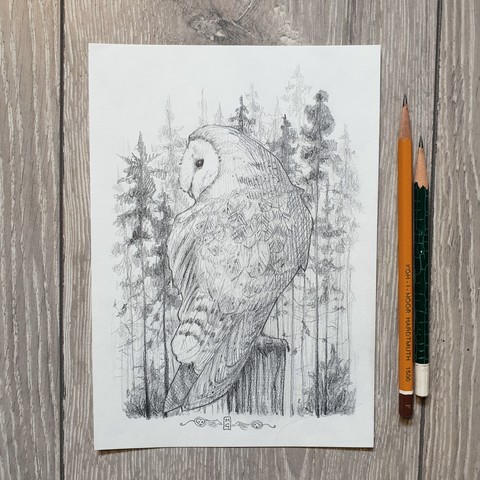 Original drawing - Barn Owl
A pencil drawing of a barn owl sitting on a fence post, with a forest background.
Materials: graphite pencil, white sketchbook paper
Width: 15 centimetres
Height: 21 centimetres