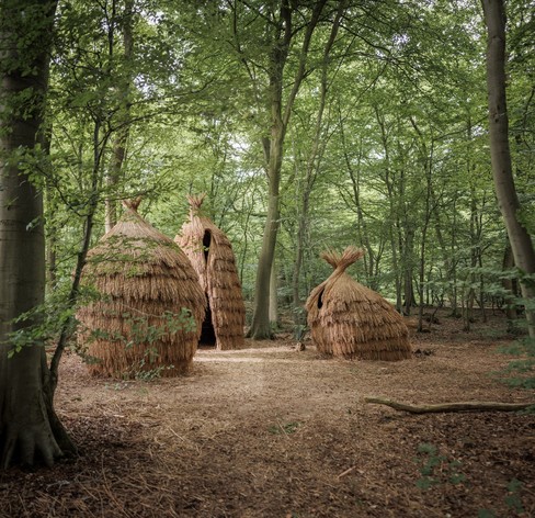 three wooden dens stand in a forest