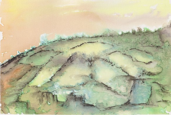 Gentle hill covered in a patchwork of green fields under a pale orange sky