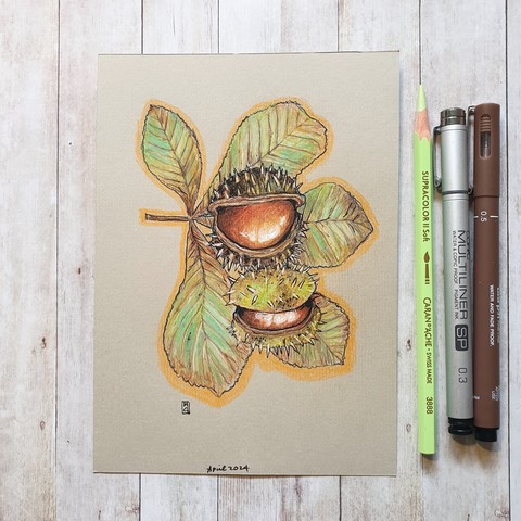 Original drawing - Horse-chestnuts with Leaf
A colour drawing of horse-chestnuts with a leaf from the tree.
Materials: colour pencil, mixed media, acid free beige pastel paper
Width: 5 inches
Height: 7 inches