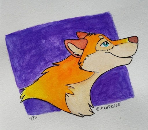 An autumn sunrise colored wolf of oranges, yellows with red tipped ears and teal eyes against a purple background. Traditional art done in gouache