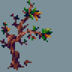 Pixel are of a gnarly and twisted tree with a mixture of green & reddish-orange leaves. The tree is quite small, likely around the height of an adult person or smaller.
