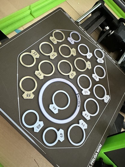 3D printing plate full of ring size testers in slightly different colours