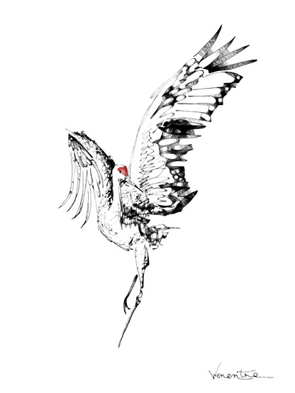 The sketch of dancing crane