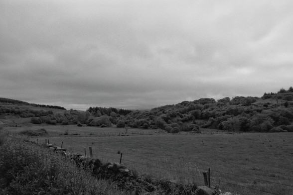 A horizontal black and white photograph of fields behind a low stone wall. In the distance is a large stretch of trees.