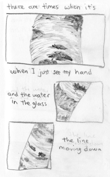 “there are times when it’s” it starts over a panel of a white birch bark texture on a trunk. “when I just see my hand” it continues below, and with another small panel of white birch trunk it continues “and the water in the glass”. More trunk, with horizontal lines across white and dark splits, and the text “the line moving down”.
