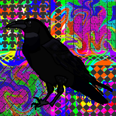 a black bird missing a foot on a grey and rainbow background with star, square and hash mark cut outs. 