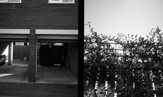 Diptych on black and white film. On the left a row of garages, on the right flowers climbing up a trellis. 