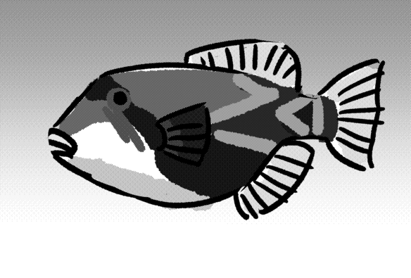 A rough drawing of the rhombus shaped fish with artsy fartsy markings.