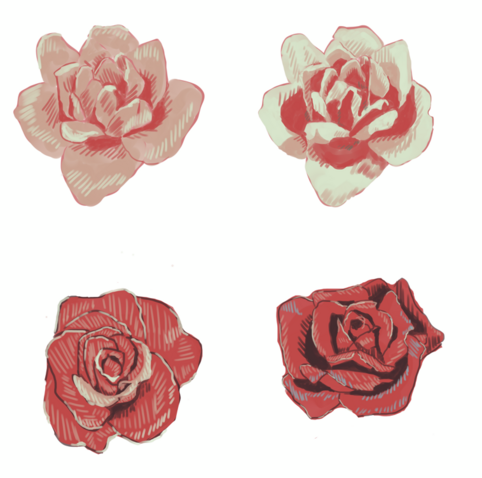 A compilation of four digitally drawn roses. They're painted with bold shadows and some hatching.