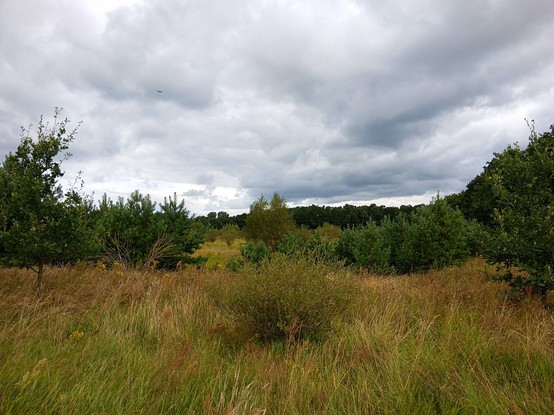 Blick über das Flusstal mit Grasland, Gehölzen und dunklen Wolken.