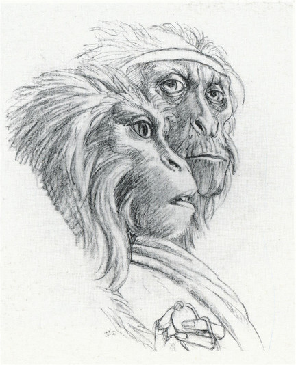 Detailed pencil study for THE NEW SPRINGTIME featuring the pair of ape-like humanoids. The elder male turns his wrinkled face thoughtfully toward the audience. The younger female glances off-panel right while delicately holding a simple round pendant in her long fingers.
