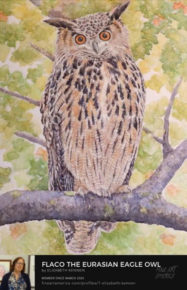 Watercolor painting of Flaco, the Eurasian Eagle Owl of NYC. Flaco is perched on a branch with fall colored leaves.