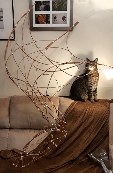 Two photos showing the front and back view of a dragon wing measuring roughly 120cm in height and shaped out of curved willow withies. A tabby cat is critically appraising the workwomanship.