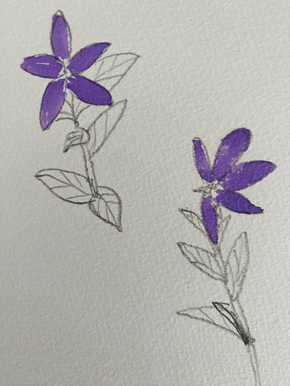 鉛筆と紫の水彩ペンで紫の小花