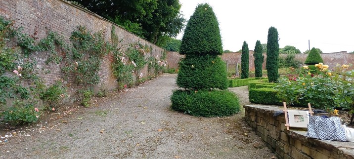 A view up a gravel path in a formal rose garden. A stone and brick wall to tye left has climbing roses and there a topiary bushes and trees to the centre. On a wall to the right, bordering a raised bed, is a frame holding a part worked stitched artwork and a bag of wool