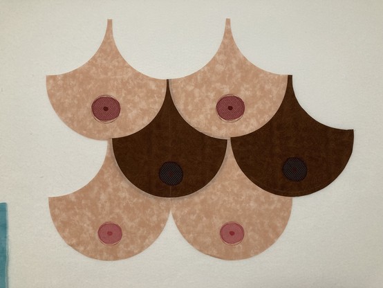 6 clamshell quilt blocks resembling boobies, laid out on a design wall. There are two sets of peach colored boobies and one set of chocolate colored boobies, all with raw edge appliqué areolae/nipples