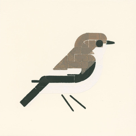 Stylized print of a small bird seen from the side, facing right. White belly, sand brown head and back with black and white banded wing. Black tail and feet.