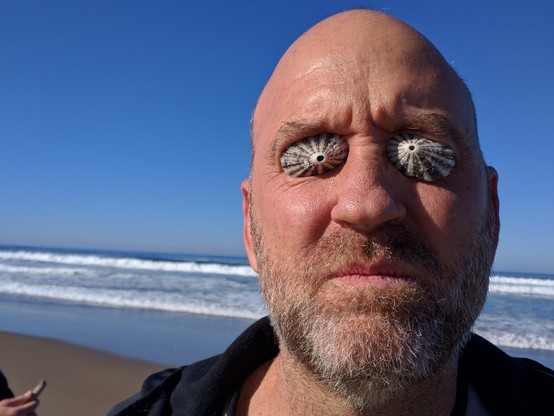A color photograph of a man with a shaved head and short cut beard at the beach. He has taken two conical sea shells and placed them over his eyes. He looks serious even though he obviously isn't.