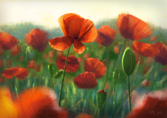 A digital painting of bright orange-red poppies at sunset. Most are painted with indistinct brushstrokes, as if far off, but one stands in focus and detail near the middle of the image.